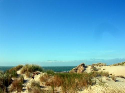 Vakantievilla Aan Zee Middelkerke Bilik gambar